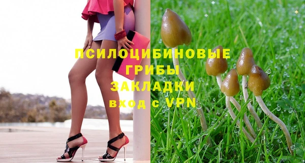 эйфоретик Богородск