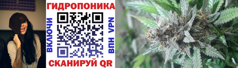 Конопля AK-47 Купить Белоусово